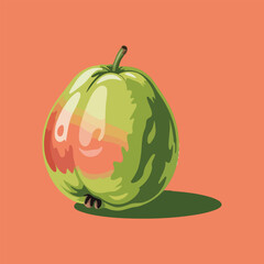 vector illustration of a green guava