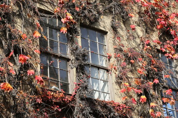 観光名所である岡山県倉敷市のレトロな街なみ