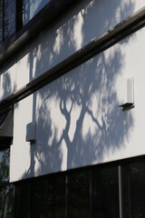 観光名所である岡山県倉敷市のレトロな街なみ