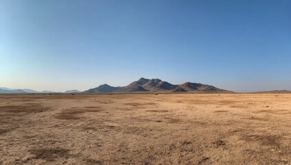 Vast, arid landscape stretching to distant mountains