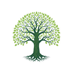 Fototapeta premium Rooted Green Tree Symbol Nature Life on transparent background