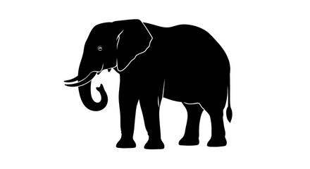 Obraz premium Elephant silhouette, black background, single line outline