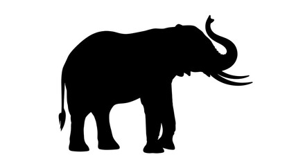 Black void, absolute darkness, nothingness, total absence of light