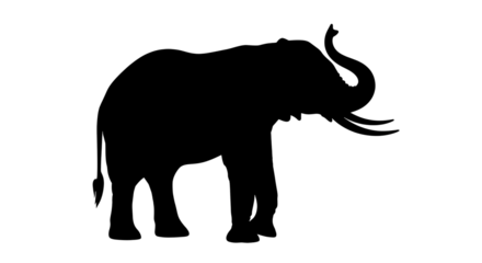 Black void, absolute darkness, nothingness, total absence of light