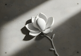 White magnolia flower on textured surface