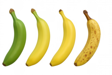 Banana ripening stages, from unripe green to fully ripe yellow and overripe with brown spots, isolated on transparent background