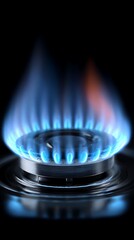 Closeup of a Gas Stove Burner with a Blue Flame on a Black Background