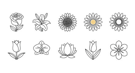 Set of flower isolated on white background in line art style drawing