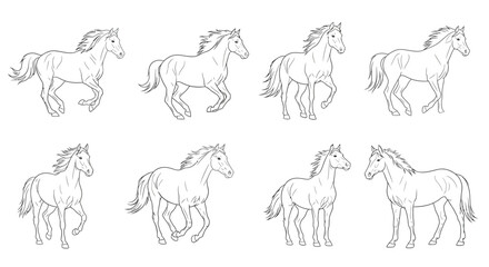 Horse drawing isolated on white background for equine animal concept