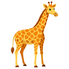 Obraz premium vector illustration of giraffes white background