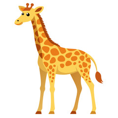 Obraz premium vector illustration of giraffes white background