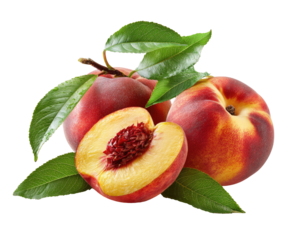 Two whole and one half peach with leaves.  Fresh, vibrant, and juicy peaches in a studio shot