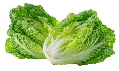 Two heads of crisp, fresh green bok choy