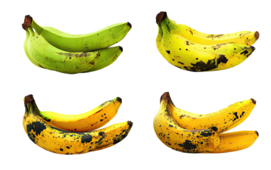Four bananas in varying stages of ripeness, from green to yellow-brown, are displayed.  Each banana pair is highlighted with a yellow outline