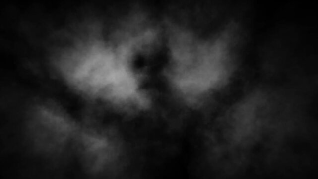 Dark horror 2D animation for Halloween. Creepy atmosphere, monster, haunted place, ghostly light, camera shake. For scary scene, dark intro and spooky edits. Vj loops. Black and white background.