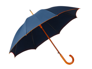 Dark navy blue umbrella, open, angled view.  Wooden handle,  smooth texture