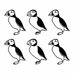 Fototapeta premium Six cute puffins black and white vector illustration of seabirds in different poses
