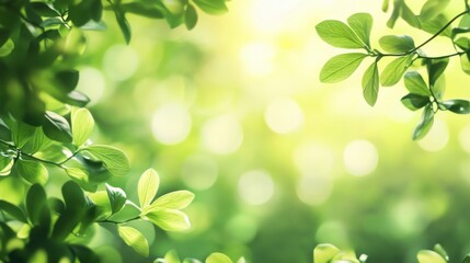 Obraz premium opportunities for prosperity and growth with green plant concept, blurred background of nature,