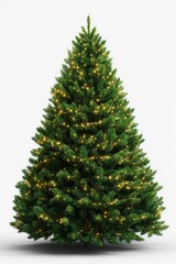 Fototapeta premium Lit Christmas Tree