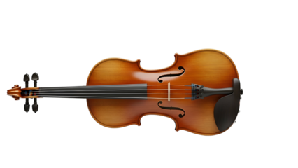 Glossy brown violin with black fingerboard on a black background