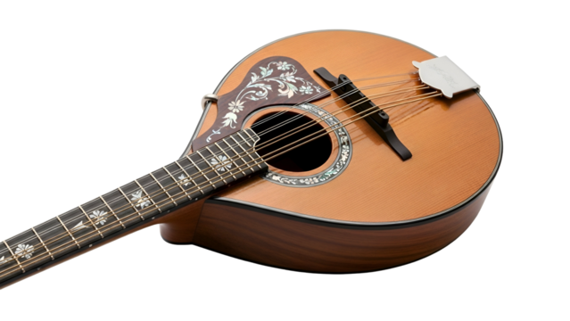 Mandolin close-up showing wood grain, strings, and fretboard inlay