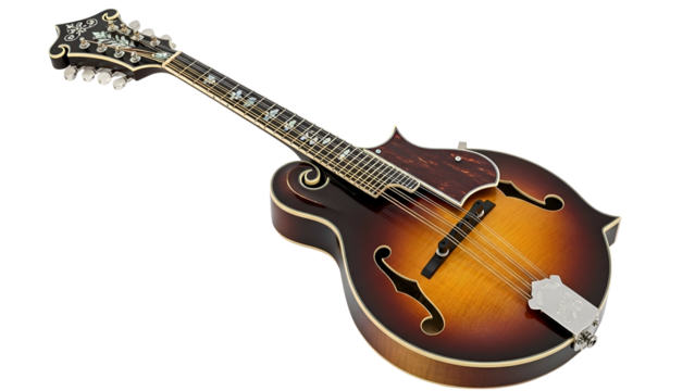 Mandolin sunburst finish, F-holes, headstock decoration