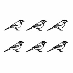 Six elegant birds standing gracefully on a, showcasing their unique features