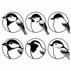 Collection of chickadee icons, showcasing various chickadee species in a simple design