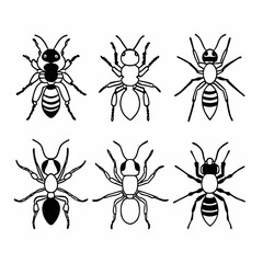 Collection of six ant illustrations, showcasing diverse shapes and patterns