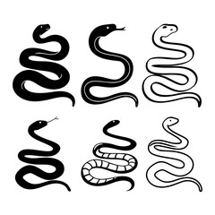 Collection of six snake illustrations, showcasing diverse shapes and patterns