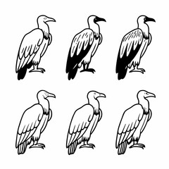 Illustration of six vulture birds in various styles, showcasing avian diversity