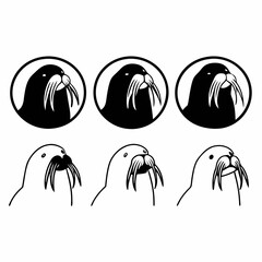 Illustration of walruses in black and white, featuring both filled and outlined designs