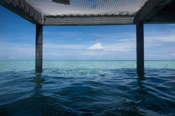 pool net resort villa blue ocean water