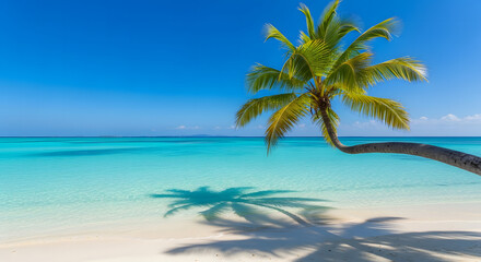 Idyllic Tropical Beach with Palm Tree A Stunning Coastal Scene Featuring a Leaning Palm Tree Casting a Shadow on White Sand and Turquoise Water on a Sunny Day