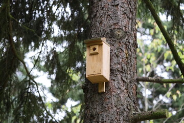 Birdhouse on old spruce tree branch