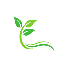 Green leaf sprout with flowing wavy lines on white background