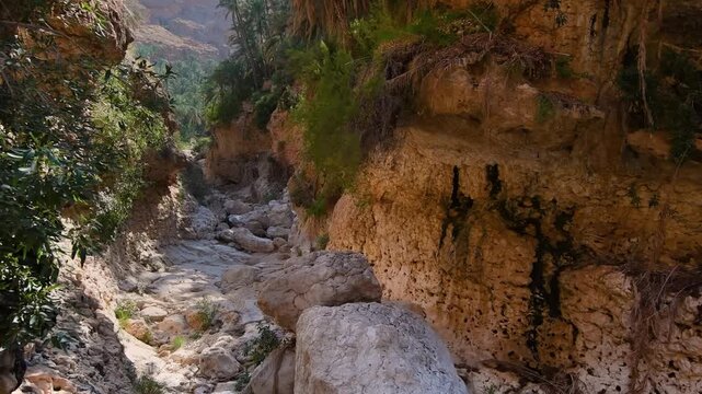 A view of Wadi Shab, a beautiful scenic canyon in Oman. The footage captures the rugged, rocky landscape, with a winding dry riverbed and lush vegetation on the canyon walls.