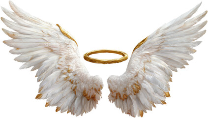 Pair of large, white angel wings with a golden halo (1)