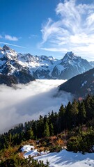 Snowy mountain peaks rise above a valley shrouded in fog, coniferous forest in the foreground