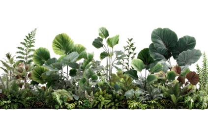 Lush, diverse foliage fills a horizontal image.  Various shades of green, with hints of silver and brown.  Different plant types, including ferns and large leaves, create a dense, natural scene