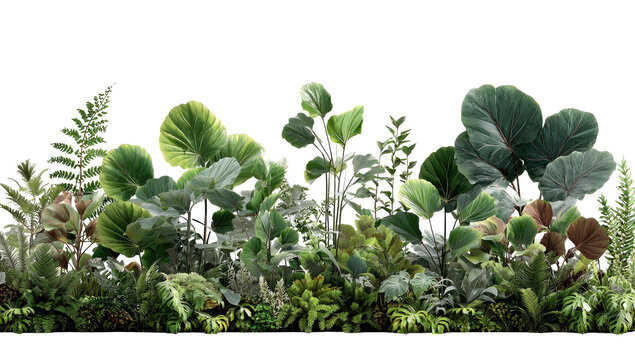 Lush, diverse foliage fills a horizontal image.  Various shades of green, with hints of silver and brown.  Different plant types, including ferns and large leaves, create a dense, natural scene - Powered by Adobe