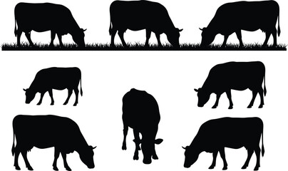Cow silhouettes grazing on grass vector illustration set, farm animal collection for agriculture, dairy farming, livestock, countryside, and natural rural scene design