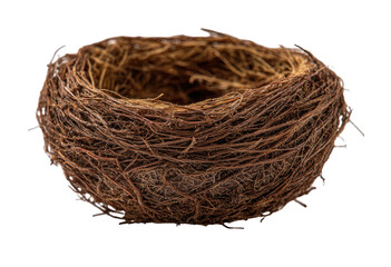 Empty bird's nest, close-up.  Round, shallow nest of intertwined brown twigs,  isolated on black background