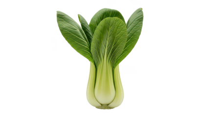 Fresh Bok Choy Isolated On Black Background