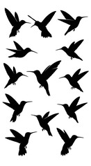 Humming bird silhouettes on a white background