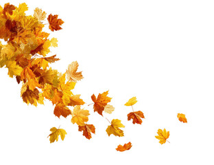 Autumn leaves cascading downward on a black background