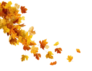 Autumn leaves cascading downward on a black background