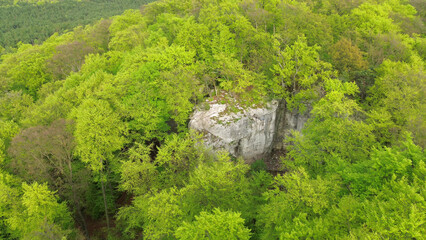 Top view of forest and cliff