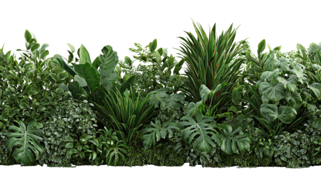 Lush green foliage wall, diverse tropical plants
