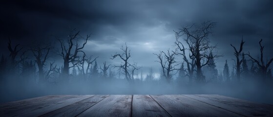 Wide view of a dark eerie forest with leafless trees and foggy atmosphere under cloudy sky creating a spooky and mysterious mood